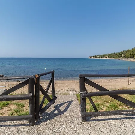 Alexger Seaview House